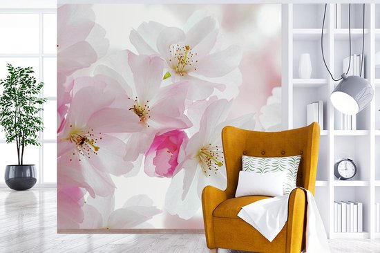 Papier peint photo vinyle - Macro photo de fleur de cerisier largeur 240 cm x hauteur 240 cm - Tirage photo sur papier peint (disponible en 7 tailles)