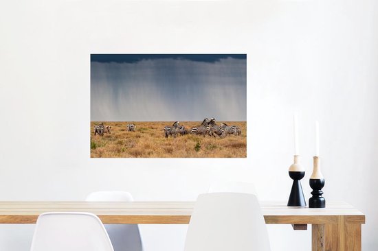 Affiche Groupe de zèbres en liberté - 90x60 cm