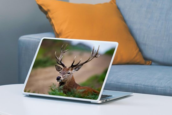 Sticker pour ordinateur portable - 12,3 pouces - Cerf - Animaux - Fougères