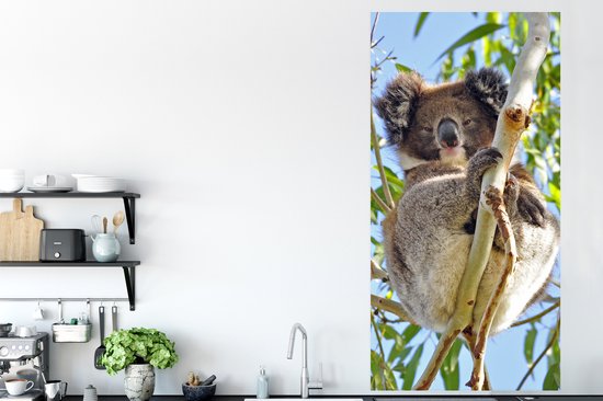 Poster Koala - Ciel - Branches - Enfants - Garçons - Meiden - 80x160 cm