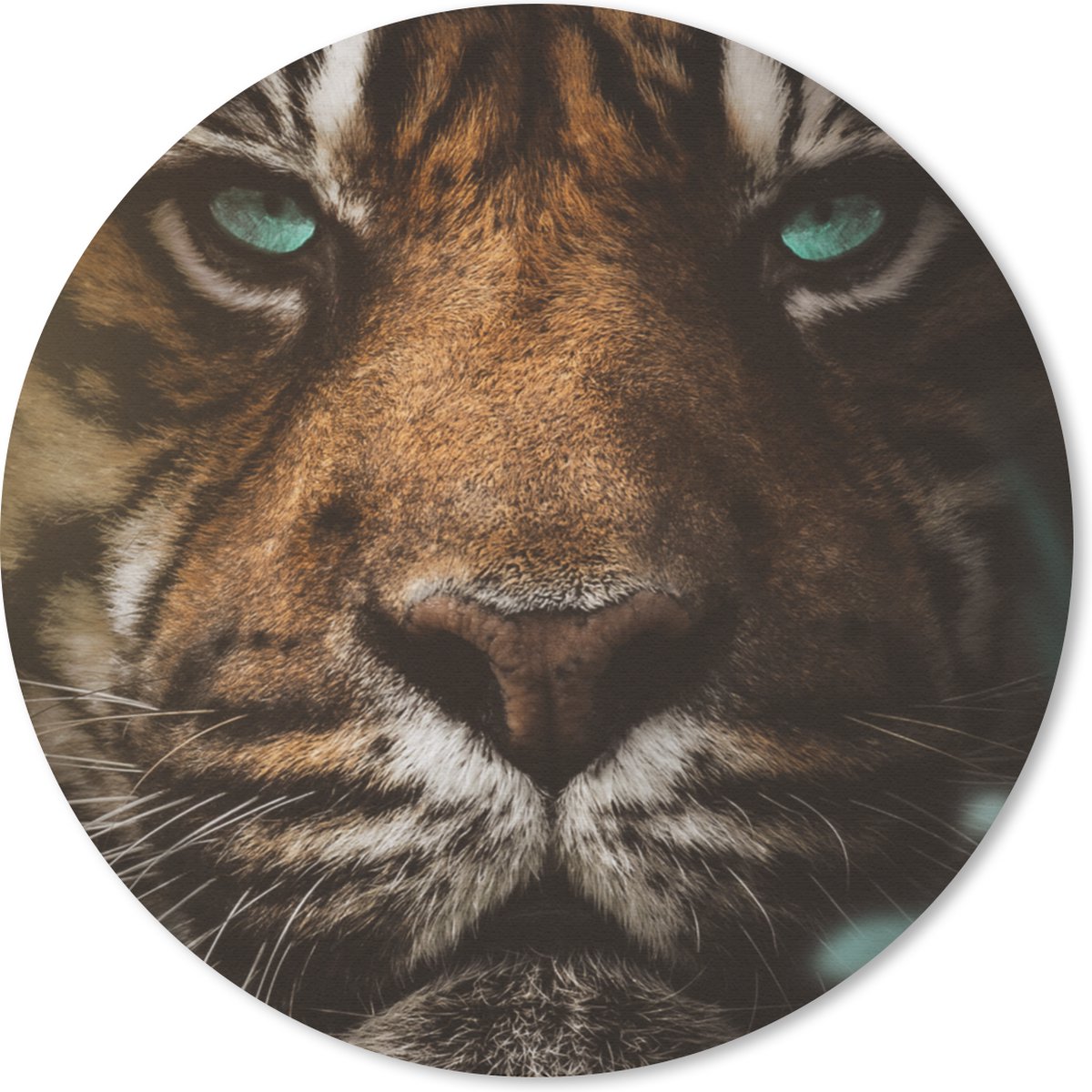 Muismat rond 20x20 cm - Mousepad Dieren - Tijger - Wild - Ronde muismatten
