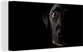 Canvas schilderij 160x80 cm - Wanddecoratie Een zwarte Labrador Retriever op een zwarte achtergrond - Muurdecoratie woonkamer - Slaapkamer decoratie - Kamer accessoires - Schilderijen