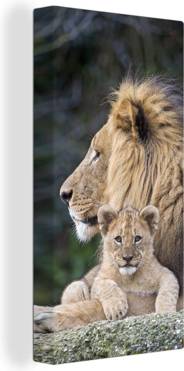 Tableau sur toile Lion adulte avec son petit - 40x80 cm