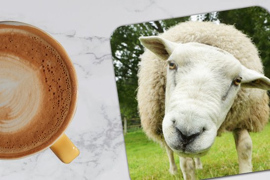 Sous- Sous-verres pour verres - Mouton - Drôle - Pâturage - 10x10 cm - 6 pièces