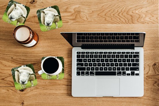 Sous- Sous-verres pour verres - Mouton - Drôle - Pâturage - 10x10 cm - 6 pièces