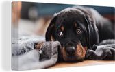 Canvas Schilderij Schattige Rottweiler pup ligt op de vloer - 40x20 cm - Wanddecoratie