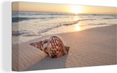 Canvas Strand - Schelp - Zee - Zonsondergang - Zand - 80x40 cm - Muurdecoratie