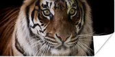 Affiche Tigre - Tête - Zwart - 160x80 cm