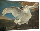 De bedreigde zwaan, Jan Asselijn - Foto op Dibond - 90 x 60 cm