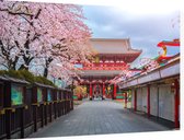 Zicht op de oude Sensoji-ji Tempel van Asakusa in Tokio - Foto op Dibond - 90 x 60 cm