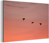 Wanddecoratie Metaal - Aluminium Schilderij Industrieel - Ganzen - Lucht - Rood - 90x60 cm - Dibond - Foto op aluminium - Industriële muurdecoratie - Voor de woonkamer/slaapkamer