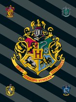 Harry Potter Fleece deken Logo - 100 x 150 cm - Polyester