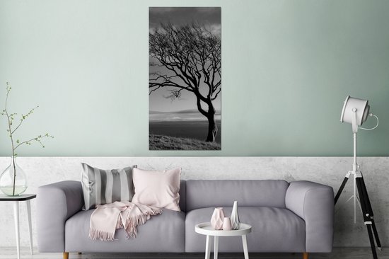 Décoration murale Métal - Peinture Aluminium Industrielle - Photo hiver hêtre noir et blanc - 80x160 cm - Dibond - Photo sur aluminium - Décoration murale industrielle - Pour le salon / chambre