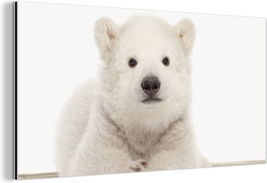 Autocollant Déco 3D Cool Bear (ours) - Multi-surfaces - Salon, Chambre - Neuf