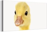 Décoration murale Métal - Peinture Aluminium Industriel - Canard - Poussin - Doux - Enfants - Filles - Garçons - 160x80 cm - Dibond - Photo sur aluminium - Décoration murale industrielle - Pour le salon / chambre