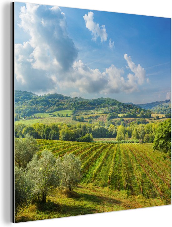 Een zonnige dag bij het Toscaanse landschap in Italië Aluminium 90x90 cm - Foto print op Aluminium (metaal wanddecoratie)