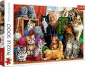 Katten - 1000 stukjes puzzel - Trefl