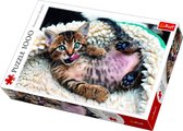 Trefl Happy Kitten puzzel - 1000 stukjes