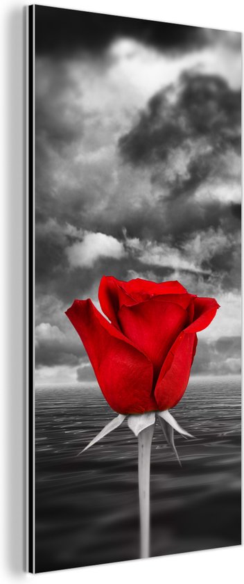 Wanddecoratie Metaal - Aluminium Schilderij - Zwart-wit foto van een rode roos, zee en een bewolkte lucht