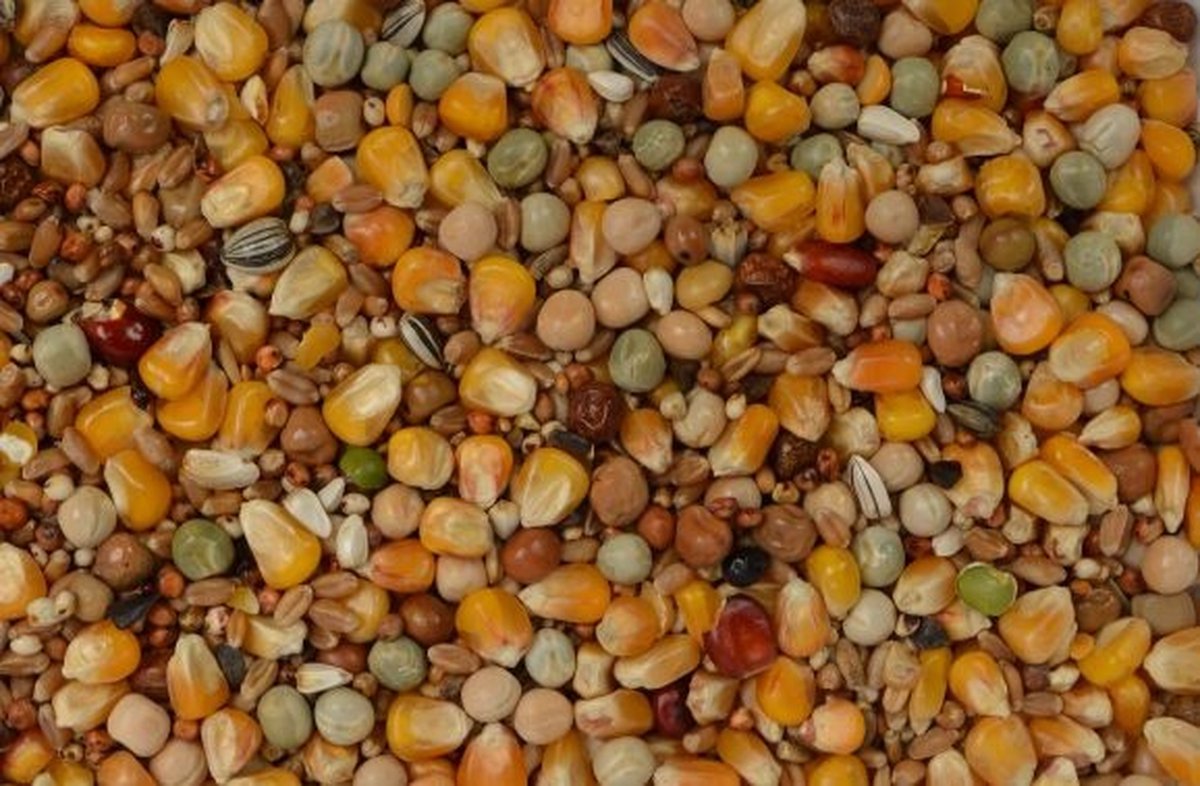 Wielink Allround Mix 25KG