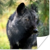 Poster Wolf - Macro - Bladeren - 50x50 cm
