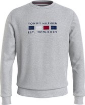 Tommy Hilfiger Menswear Sweater Heren