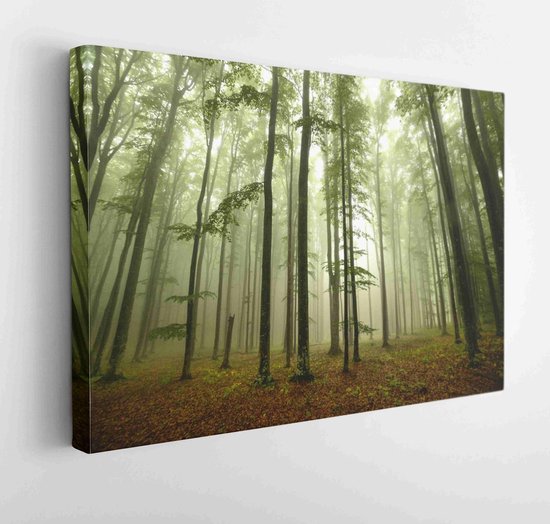 Onlinecanvas - Schilderij - Foggy Forest Art Horizontaal Horizontal - Multicolor - 115 X 75 Cm