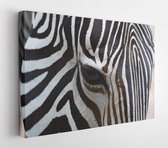 Onlinecanvas - Schilderij - Dierlijke Close-ups Gezicht Moderne Horizontaal Horizontal - Multicolor - 40 X 30 Cm