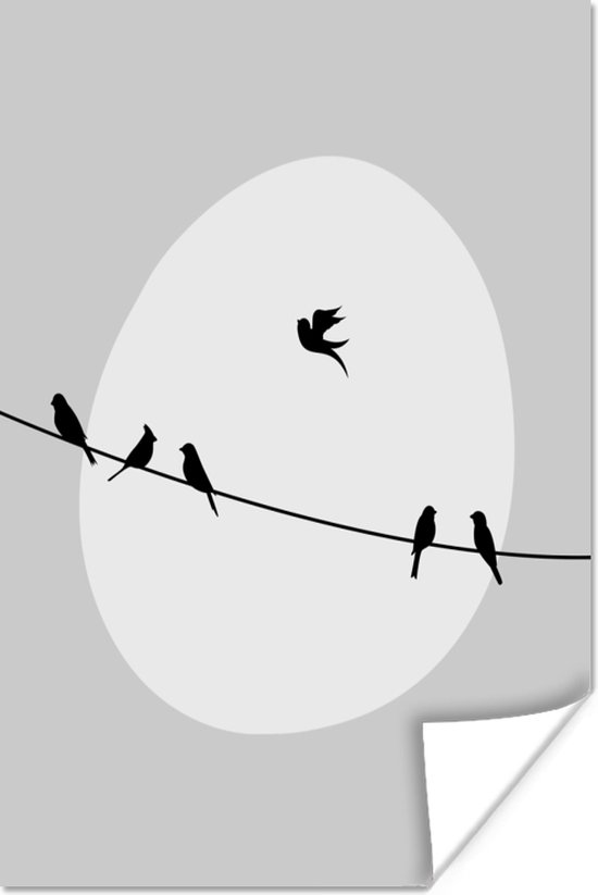 Affiche Vogels - Zwart - Wit - 60x90 cm