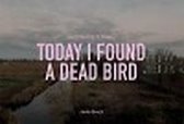 Unobtrusive pictures 2 -   Today I found a dead bird