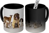 Magische Mok - Foto op Warmte Mok - Groeps honden - 350 ML