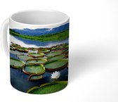Mok - De Pantanal aan een rivier met waterlelies in Zuid-Amerika - 350 ML - Beker