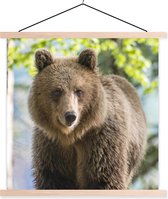 Affiche scolaire - Ours - Marron - Forêt - 40x40 cm - Lattes vierges