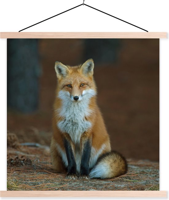 Posterhanger incl. Poster 90x90 cm - Schoolplaat - Vos - Macro - Rood - Textielposter - Blanke latten