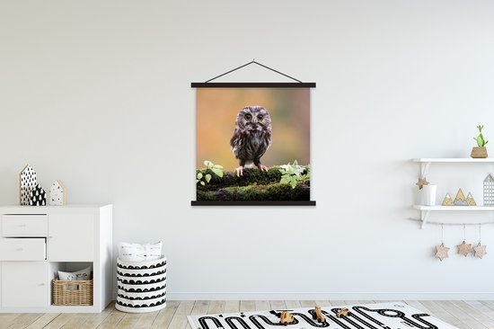 Affiche scolaire - Chouette chevêche - 90x90 cm - Lattes noires