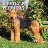Airedale Terrier Kalender 2022