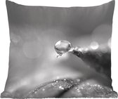 Close-up van een waterdruppel op een Kerstroos - zwart wit