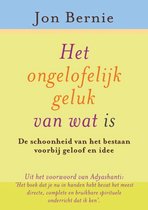 Het ongelofelijke geluk van wat is
