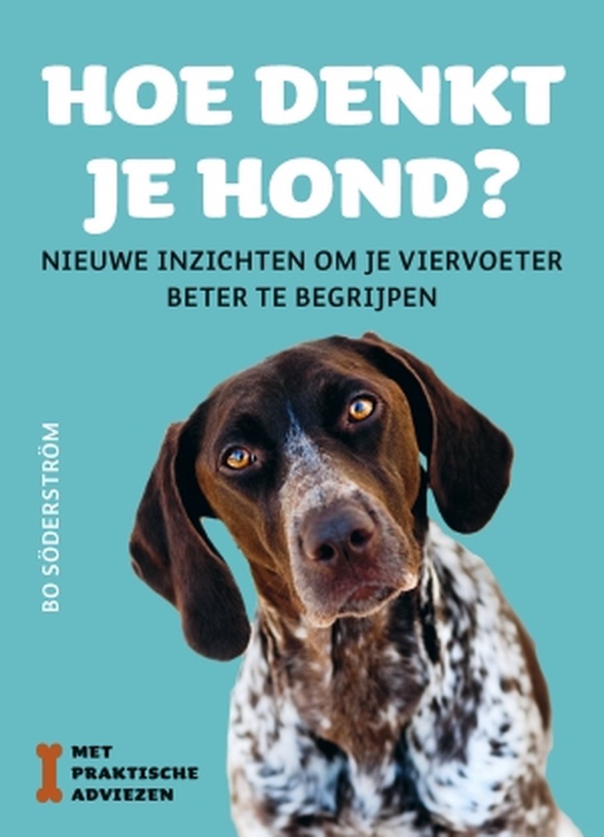 berouw hebben volwassene Detective Hoe denkt je hond?, Bo Söderström | 9789021569062 | Boeken | bol.com