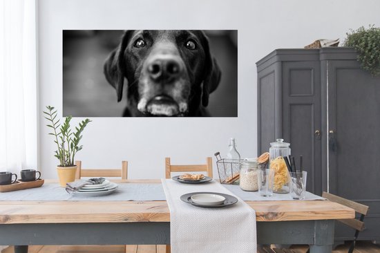 Poster Dierenprofiel labrador hond in zwart-wit - 160x80 cm - PosterMonkey