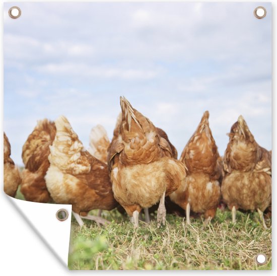 Kippen in het veld - Tuindoek