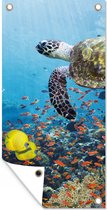 Tuinposter Schildpad bij koraalrif - 40x80 cm - Wanddecoratie Buiten - Tuinposter - Tuindoek - Schuttingposter - Tuinschilderij