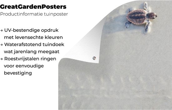 Décoration murale d'extérieur Deux tortues - 160x80 cm - Toile de jardin - Poster extérieur