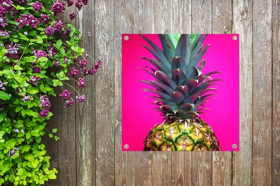 Gros plan d'un poster de jardin ananas coloré 100x100 cm - Toile de jardin / Toile d'extérieur / Peintures pour l'extérieur (décoration de jardin)
