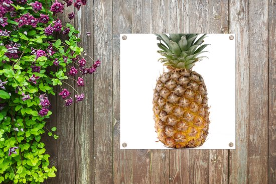Serviette de jardin Ananas - Fruit - Wit - 100x100 cm