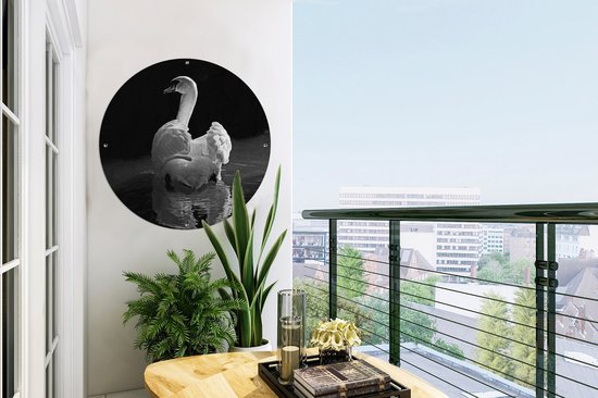 Garden Circle Cygne Witte - 60x60 cm - Affiche de Jardin Ronde - Extérieur