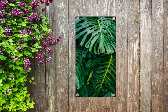 Tuinposter 30x60 cm - Tuindecoratie Donkergroene botanische bladeren in een tuin - Poster voor in de tuin - Buiten decoratie - Schutting tuinschilderij - Tuindoek muurdecoratie - Wanddecoratie balkondoek