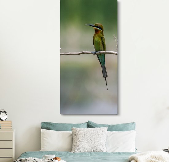 Canvas schilderij 80x160 cm - Wanddecoratie De dwergbijeneter zit op een tak - Muurdecoratie woonkamer - Slaapkamer decoratie - Kamer accessoires - Schilderijen op canvas
