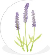 WallCircle - Wandcirkel ⌀ 140 - Lavendel - Aquarel - Planten - Ronde schilderijen woonkamer - Wandbord rond - Muurdecoratie cirkel - Kamer decoratie binnen - Wanddecoratie muurcirkel - Woonaccessoires