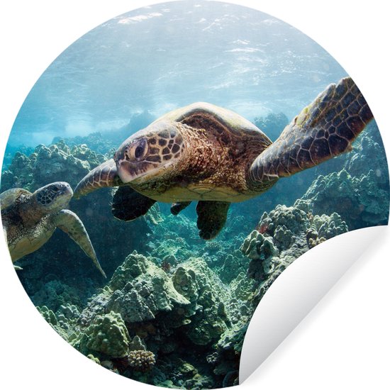 WallCircle - Muurstickers - Behangcirkel - Twee zeeschildpadden - 50x50 cm - Muurcirkel - Zelfklevend - Ronde Behangsticker